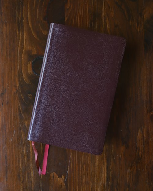 NIV, Thinline Reference Bible (Deep Study at a Portable Size), Bonded Leather, Burgundy, Red Letter, Thumb Indexed, Comfort Print