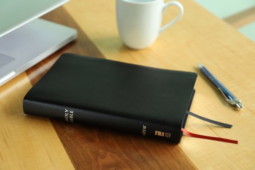 NIV, Thinline Reference Bible (Deep Study at a Portable Size), Bonded Leather, Black, Red Letter, Comfort Print