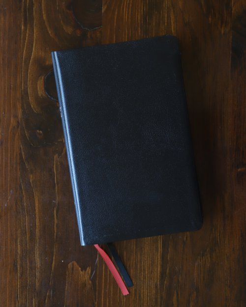 NIV, Thinline Reference Bible (Deep Study at a Portable Size), Bonded Leather, Black, Red Letter, Thumb Indexed, Comfort Print