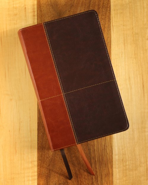 NIV, Personal Size Reference Bible, Large Print, Leathersoft, Tan/Brown, Red Letter, Comfort Print