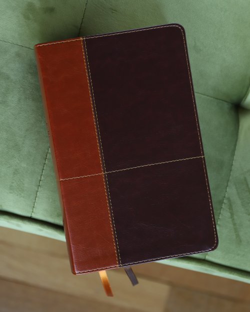 NIV, Personal Size Reference Bible, Large Print, Leathersoft, Tan/Brown, Red Letter, Thumb Indexed, Comfort Print