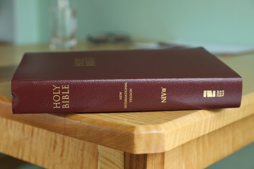 NIV, Gift and Award Bible, Leather-Look, Burgundy, Red Letter Edition, Comfort Print