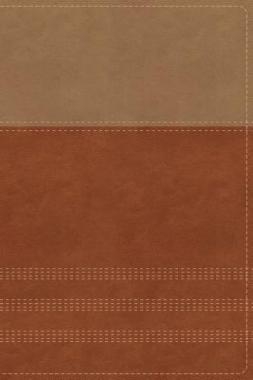 NIV, Biblical Theology Study Bible (Trace the Themes of Scripture), Leathersoft, Tan/Brown, Thumb Indexed, Comfort Print