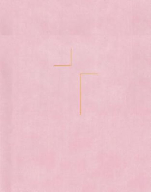 NIV Jesus Bible, Pink, Leather, Comfort Print, Introduction by Louie Giglio, Book Introductions, Essays, Articles, Journaling, Concordance, Ribbon Marker