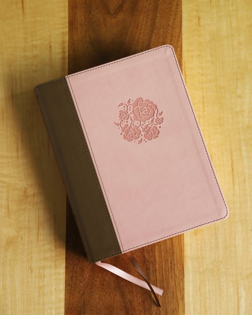 NIV Journal the Word Bible for Women (With Space for Your Own Artwork), Leathersoft, Brown/Pink, Red Letter, Comfort Print