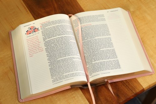 NIV Journal the Word Bible for Women (With Space for Your Own Artwork), Leathersoft, Brown/Pink, Red Letter, Comfort Print