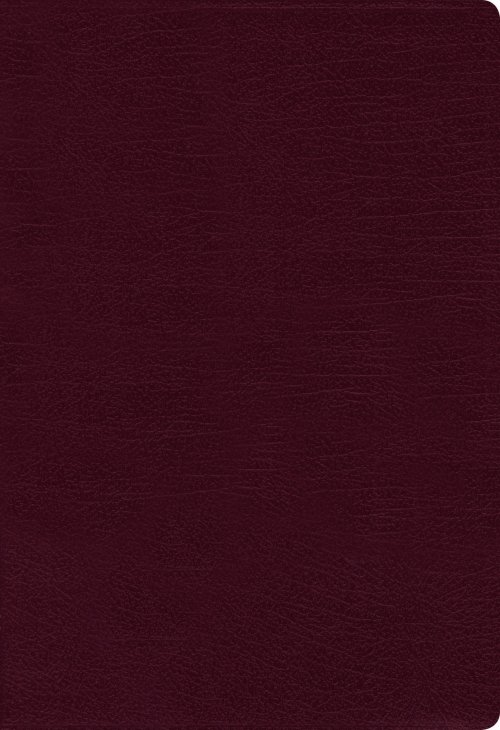 NASB, Thinline Bible, Large Print, Bonded Leather, Burgundy, Red Letter, 1995 Text, Comfort Print