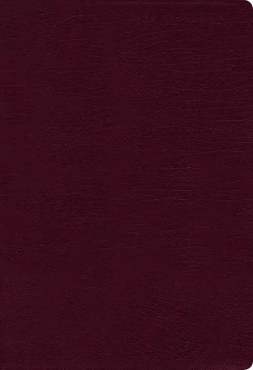 NASB, Thinline Bible, Large Print, Bonded Leather, Burgundy, Red Letter, 1995 Text, Comfort Print