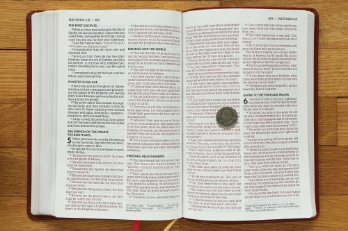 NASB, Thinline Bible, Large Print, Leathersoft, Brown, Red Letter, 1995 Text, Comfort Print