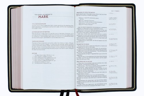 NASB, Single-Column Reference Bible, Wide Margin, Premium Goatskin Leather, Black, Premier Collection, Black Letter, 1995 Text, Art Gilded Edges, Comfort Print