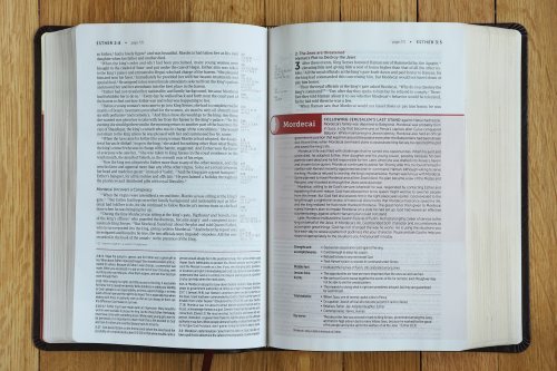 NIV, Life Application Study Bible, Third Edition, Bonded Leather, Burgundy, Red Letter