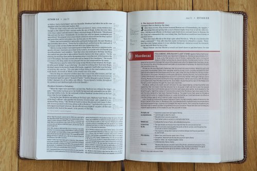 NIV, Life Application Study Bible, Third Edition, Leathersoft, Brown, Red Letter