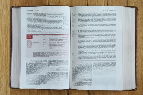 NIV, Life Application Study Bible, Third Edition, Leathersoft, Brown, Red Letter