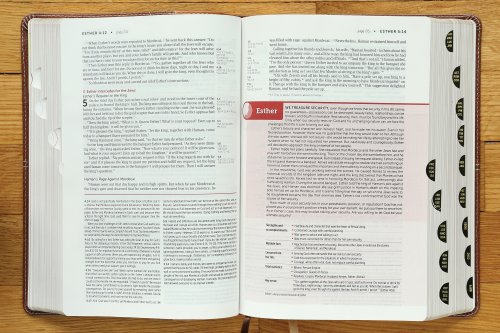 NIV, Life Application Study Bible, Third Edition, Leathersoft, Brown, Red Letter, Thumb Indexed