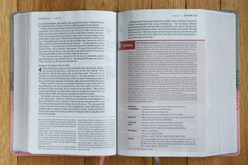 NIV, Life Application Study Bible, Third Edition, Large Print, Leathersoft, Gray/Pink, Red Letter