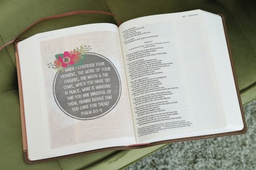 NIV, Beautiful Word Bible, Updated Edition, Peel/Stick Bible Tabs, Leathersoft, Brown/Pink, Red Letter, Comfort Print