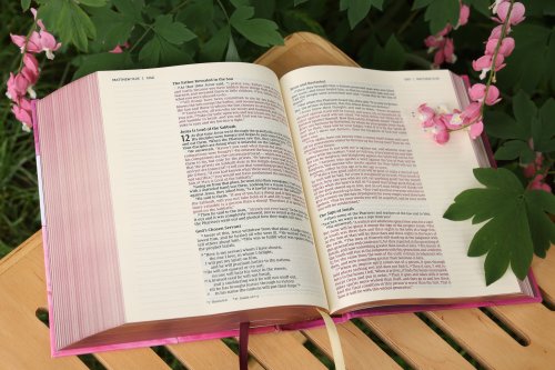 NIV, Artisan Collection Bible, Cloth over Board, Pink, Art Gilded Edges, Red Letter, Comfort Print