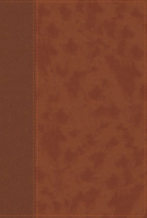 NIV, Personal Size Bible, Large Print, Leathersoft, Brown, Red Letter, Comfort Print