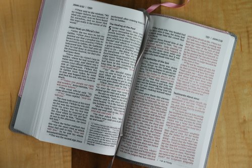 NIV, Personal Size Bible, Large Print, Leathersoft, Pink/Gray, Red Letter, Comfort Print