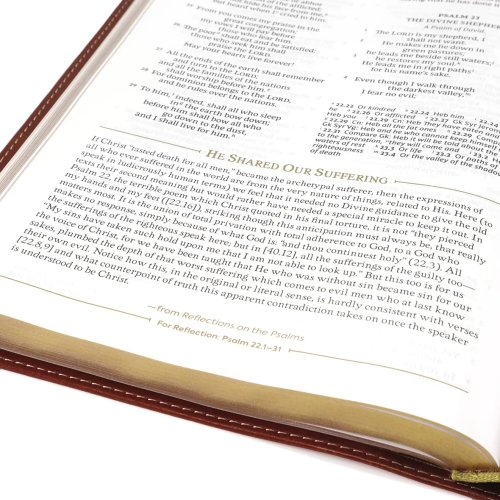 NRSV, The C. S. Lewis Bible, Leathersoft, Brown, Comfort Print