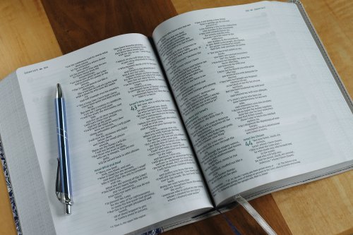 NIV, Verse Mapping Bible, Leathersoft, Navy Floral, Comfort Print