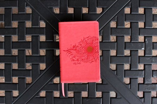 NIV, Premium Gift Bible, Youth Edition, Leathersoft, Coral, Red Letter, Comfort Print