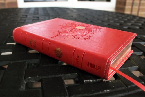 NIV, Premium Gift Bible, Youth Edition, Leathersoft, Coral, Red Letter, Comfort Print