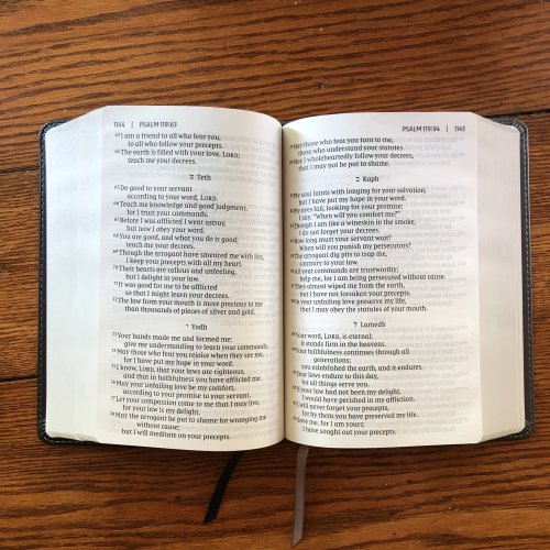 NIV, Giant Print Compact Bible, Leathersoft, Black, Red Letter, Comfort Print