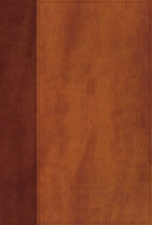 NIV, Giant Print Compact Bible, Leathersoft, Brown, Red Letter, Comfort Print