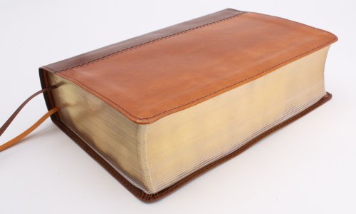 NIV, Giant Print Compact Bible, Leathersoft, Brown, Red Letter, Comfort Print