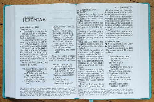 NASB, Super Giant Print Reference Bible, Leathersoft, Teal, Red Letter, 1995 Text, Comfort Print