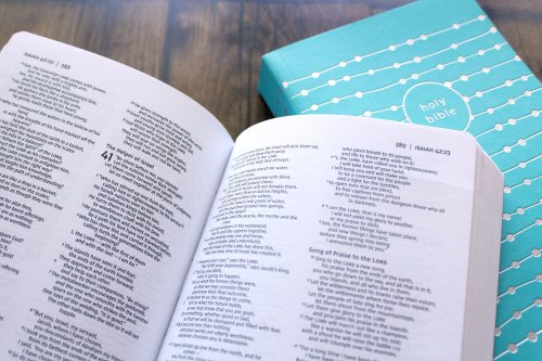 NIV, Holy Bible for Girls, Soft Touch Edition, Leathersoft, Teal, Comfort Print