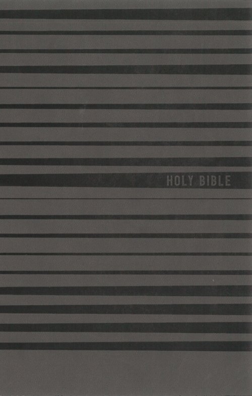 NIV, Holy Bible for Boys, Soft Touch Edition, Leathersoft, Gray, Comfort Print