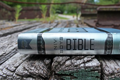 NIV, Boys' Bible, Hardcover, Comfort Print