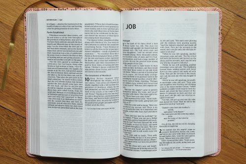 NIV, Bible for Teens, Thinline Edition, Leathersoft, Pink, Red Letter, Comfort Print