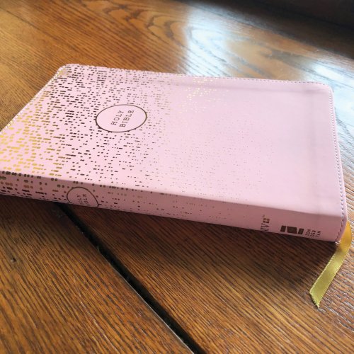 NIV, Bible for Teens, Thinline Edition, Leathersoft, Pink, Red Letter, Comfort Print