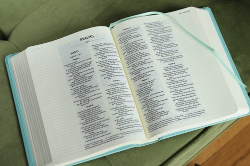 NIV, Journal the Word Bible (Perfect for Note-Taking), Double-Column, Cloth over Board, Teal, Red Letter, Comfort Print