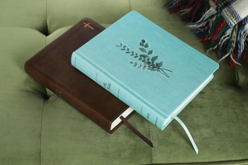 NIV, Journal the Word Bible (Perfect for Note-Taking), Double-Column, Cloth over Board, Teal, Red Letter, Comfort Print