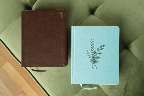 NIV, Journal the Word Bible (Perfect for Note-Taking), Double-Column, Cloth over Board, Teal, Red Letter, Comfort Print