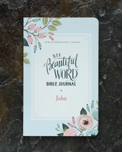 NIV, Beautiful Word Bible Journal, John, Paperback, Comfort Print