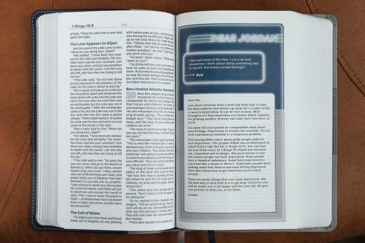 NIV, Teen Study Bible (For Life Issues You Face Every Day), Leathersoft, Blue, Comfort Print