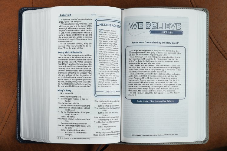 NIV, Teen Study Bible (For Life Issues You Face Every Day), Leathersoft, Blue, Comfort Print