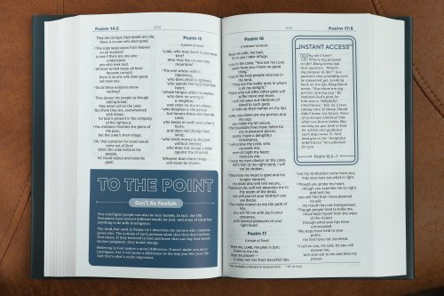 NIV, Teen Study Bible (For Life Issues You Face Every Day), Hardcover, Navy, Comfort Print