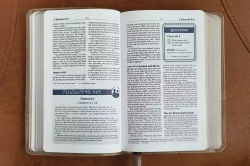 NIV, Teen Study Bible (For Life Issues You Face Every Day), Compact, Leathersoft, Brown, Comfort Print