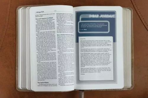 NIV, Teen Study Bible (For Life Issues You Face Every Day), Compact, Leathersoft, Brown, Comfort Print