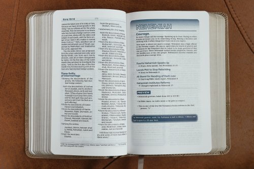 NIV, Teen Study Bible (For Life Issues You Face Every Day), Compact, Leathersoft, Brown, Comfort Print