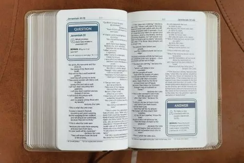 NIV, Teen Study Bible (For Life Issues You Face Every Day), Compact, Leathersoft, Brown, Comfort Print