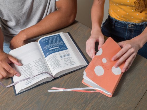 NIV, Teen Study Bible (For Life Issues You Face Every Day), Compact, Leathersoft, Peach, Comfort Print