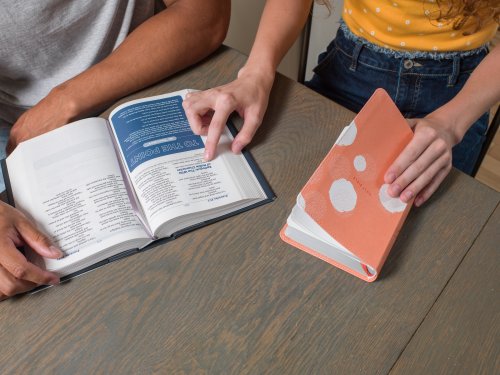 NIV, Teen Study Bible (For Life Issues You Face Every Day), Compact, Leathersoft, Peach, Comfort Print