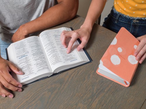 NIV, Teen Study Bible (For Life Issues You Face Every Day), Compact, Leathersoft, Peach, Comfort Print